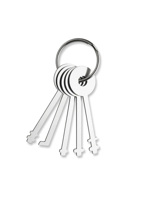 Set di 5 grimaldelli warded