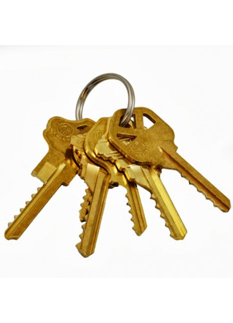 5 standaard klopsleutels