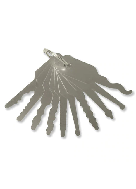 10-stuks Jiggler auto lockpickset