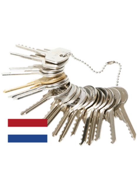 20-stuks klopsleutelset NL